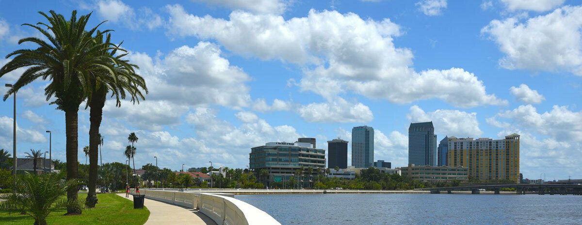 2020 Virtual Walk for Epilepsy